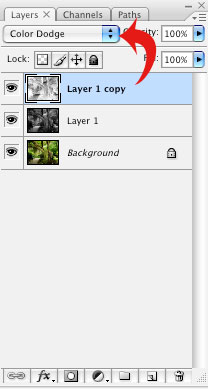 Screenshot of Adobe Photoshop