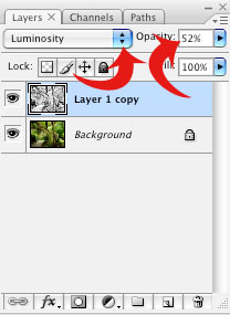 Screenshot of Adobe Photoshop