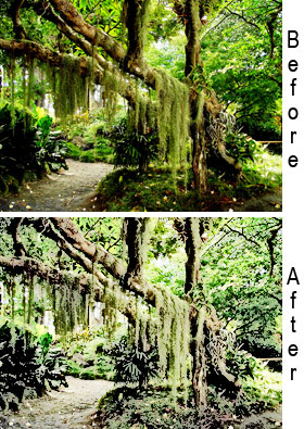 Screenshot of Adobe Photoshop