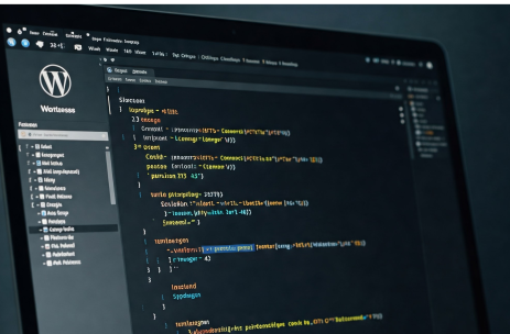 Wordpress Plugins